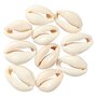 12 perles coquillage 20 mm - Naturel
