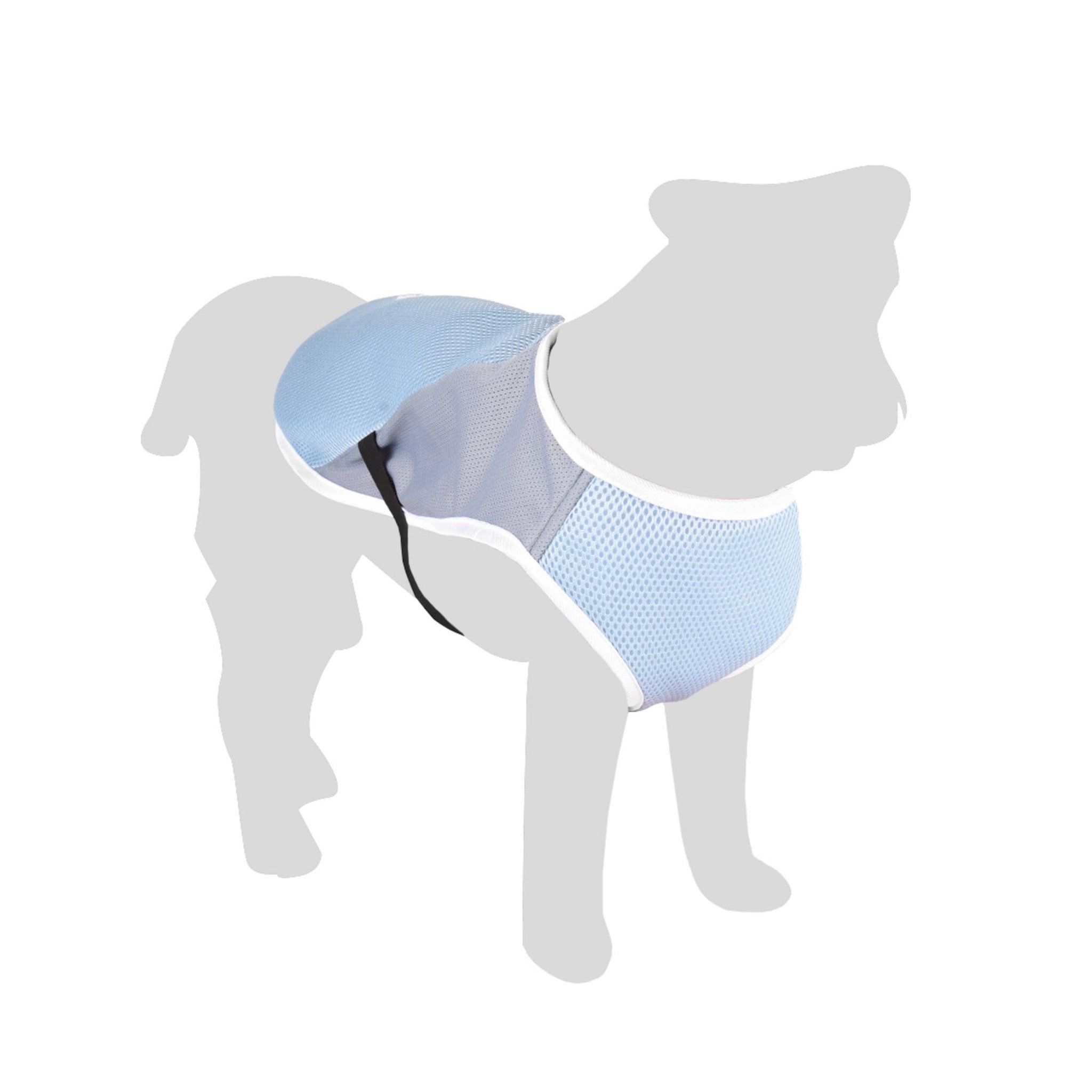 Voir la diapositive 3 : Eden Manteau rafraichissant pour chien