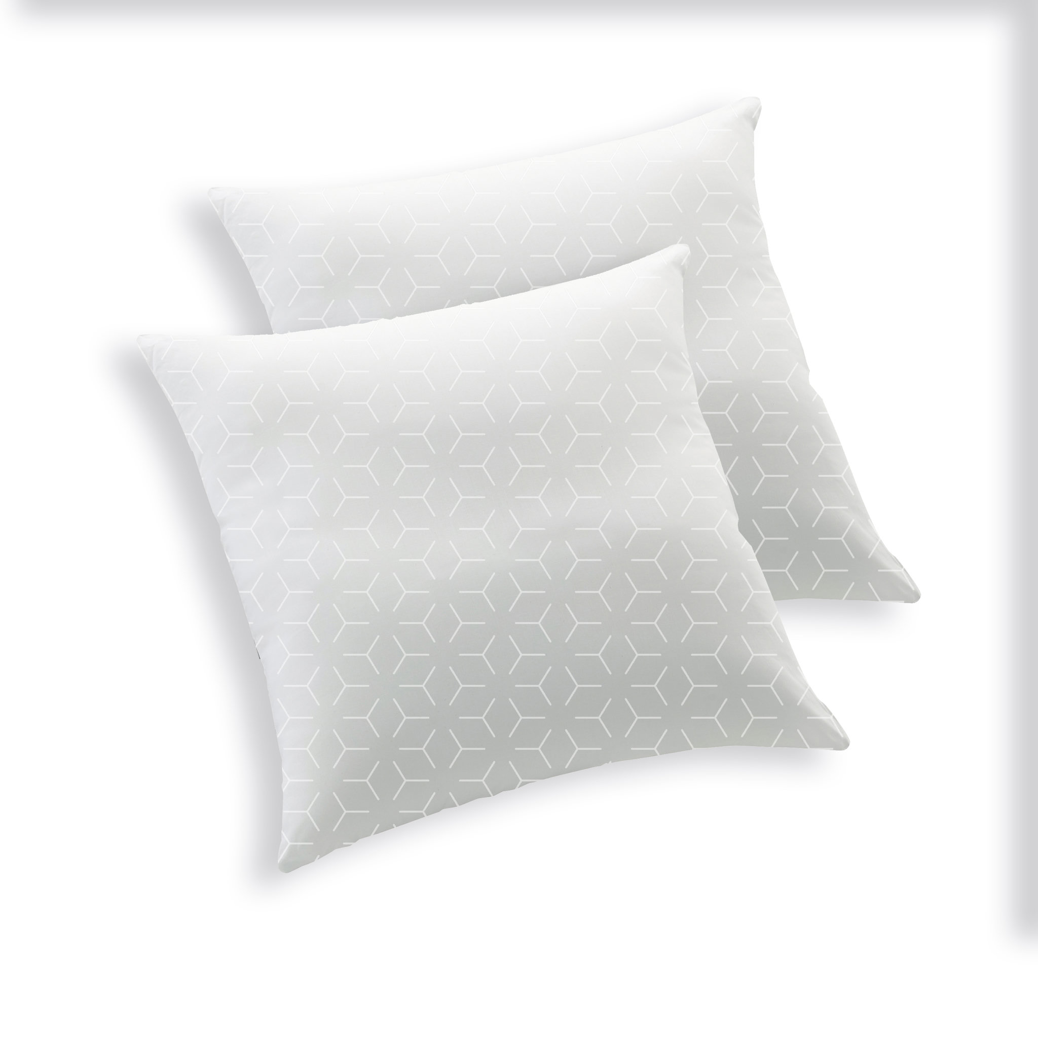 Voir la diapositive 3 : BLANREVE Lot de 2 oreillers confort moelleux  en polycoton TENDRESSE
