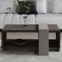Voir la diapositive 3 : Habitat et Jardin Table basse en bois  Meleni  - 90 x 49 x 40 cm - Gris