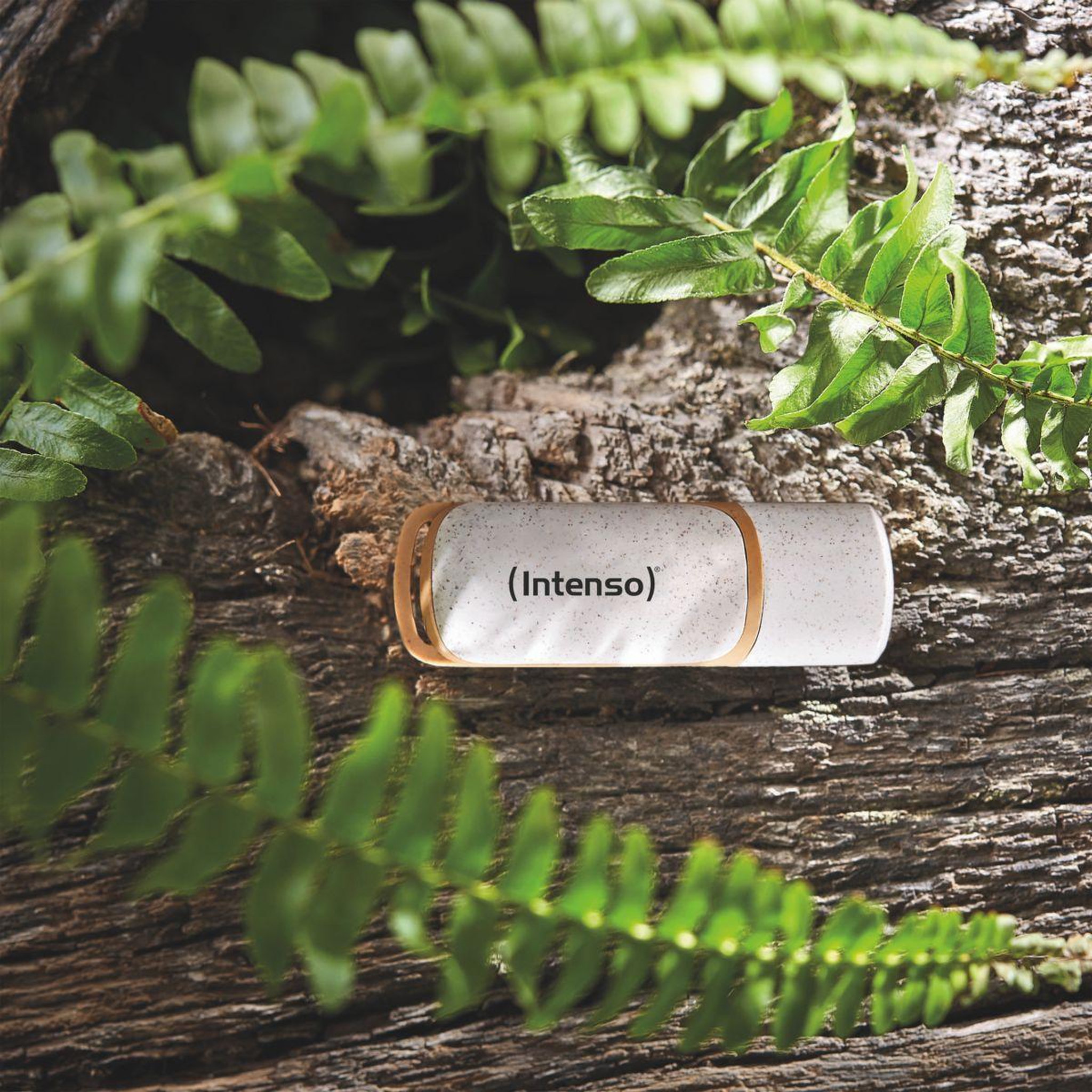 Voir la diapositive 4 : Intenso Clé USB 64go GREEN LINE Flash drive 3.2