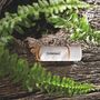Voir la diapositive 4 : Intenso Clé USB 64go GREEN LINE Flash drive 3.2