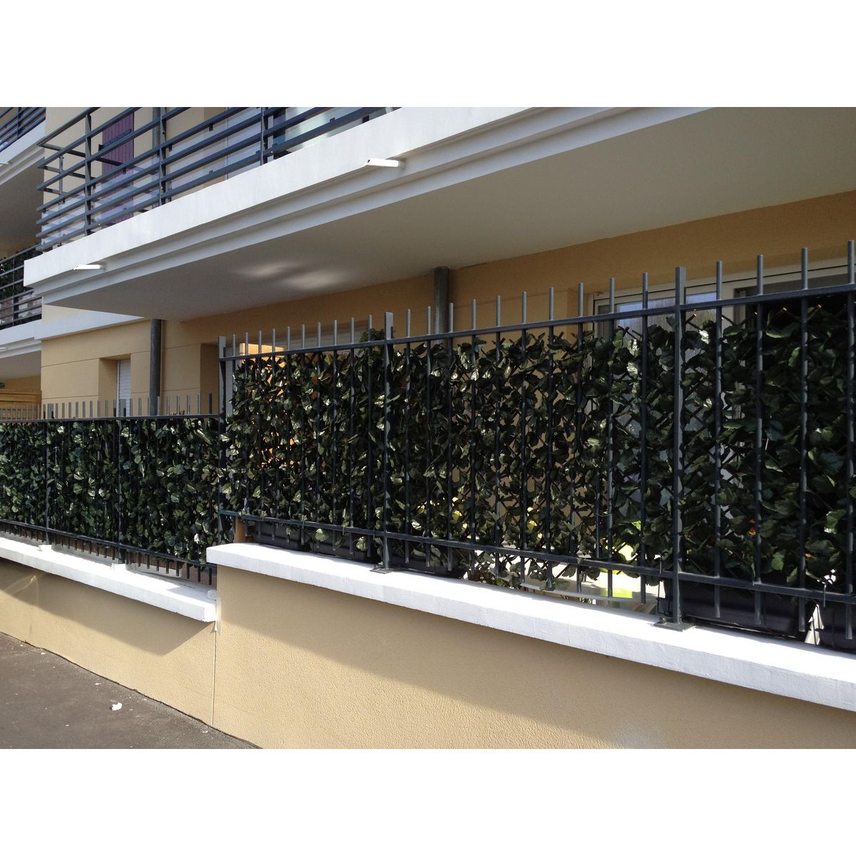 Haie de Lierre artificielle aspect naturel sur treillage extensible