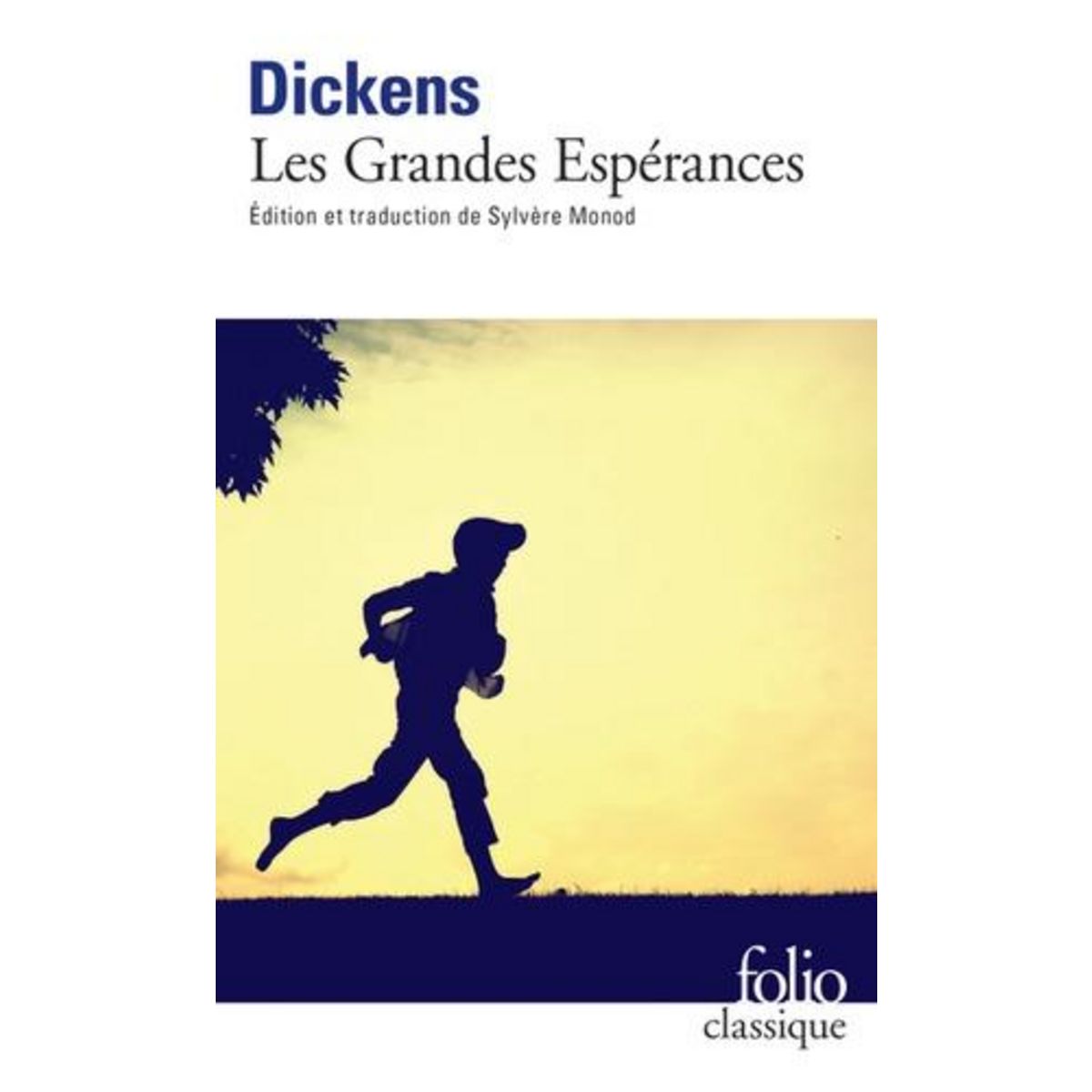 LES GRANDES ESPERANCES, Dickens Charles
