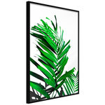 Paris Prix Affiche Murale Encadrée  Emerald Palm. Coloris disponibles : Noir, Jaune