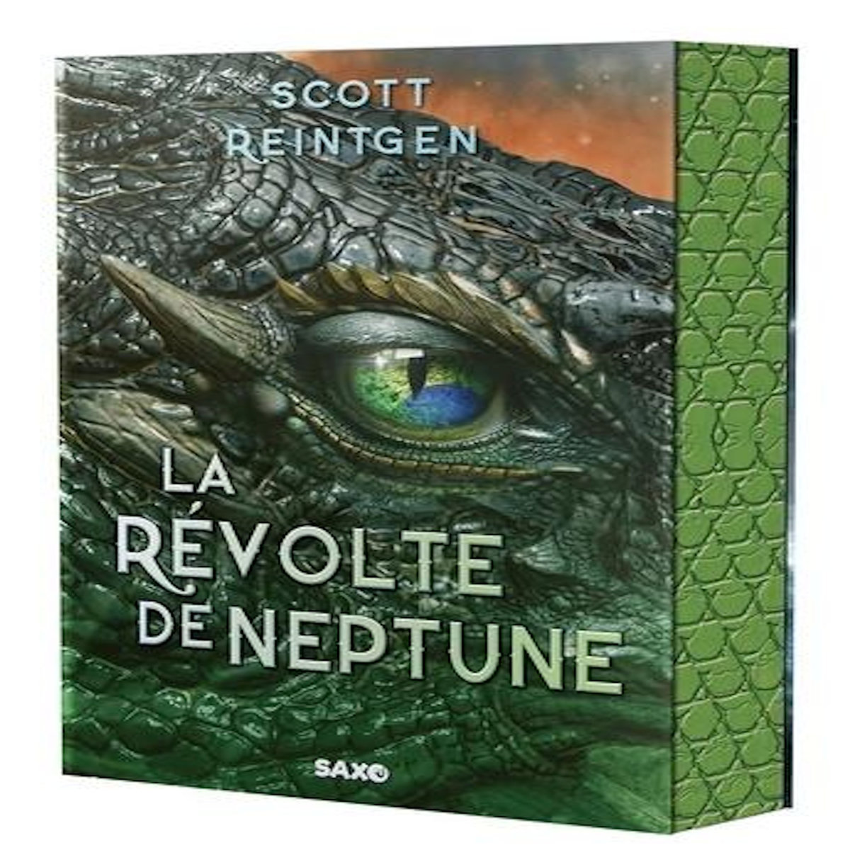 LES DRAGONS-NEFS TOME 2 : LA REVOLTE DE NEPTUNE, Reintgen Scott