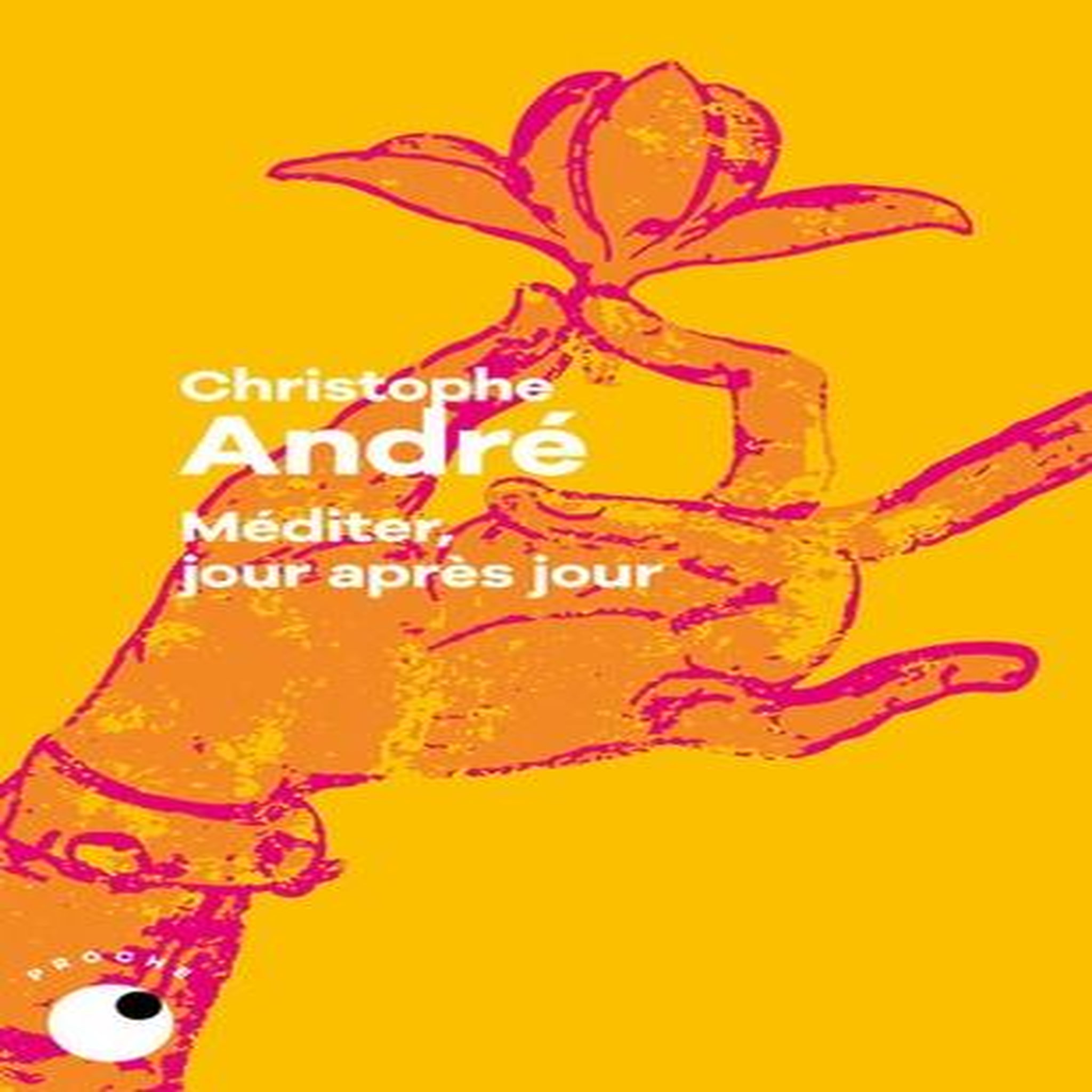 MEDITER, JOUR APRES JOUR. 25 LECONS POUR VIVRE EN PLEINE CONSCIENCE, André Christophe