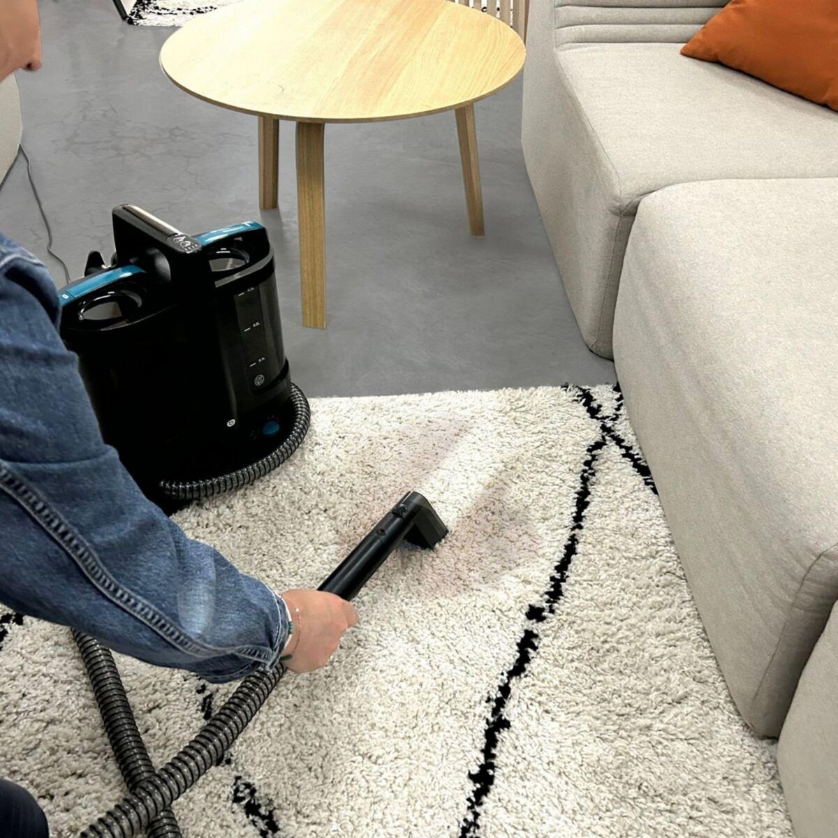 ESSENTIEL B Nettoyeur détacheur EAD1