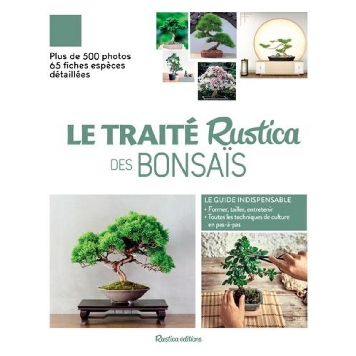 LE TRAITE RUSTICA DES BONSAIS, Barbier Alain