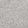 Voir la diapositive 2 : VIDAXL Tapis a poils courts 160x230 cm Gris clair