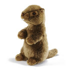 Anima Peluche Marmotte Siffleuse 25cmH
