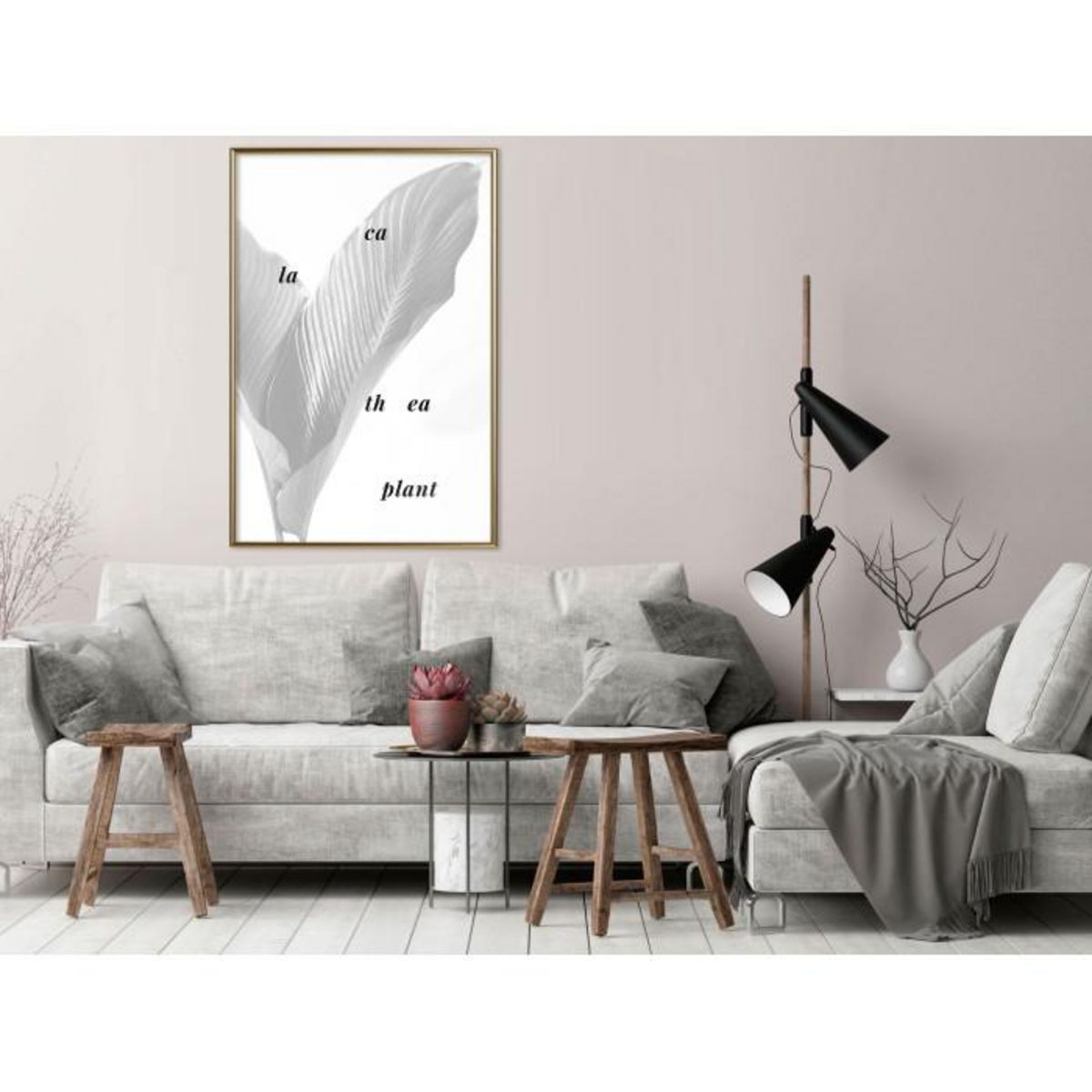 Paris Prix Affiche Murale Encadrée  Calathea Leaves