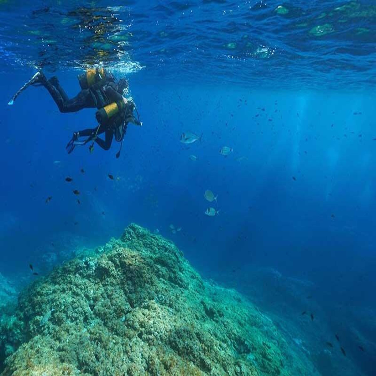 Smartbox Sport nautique Premium en France - Coffret Cadeau Sport & Aventure