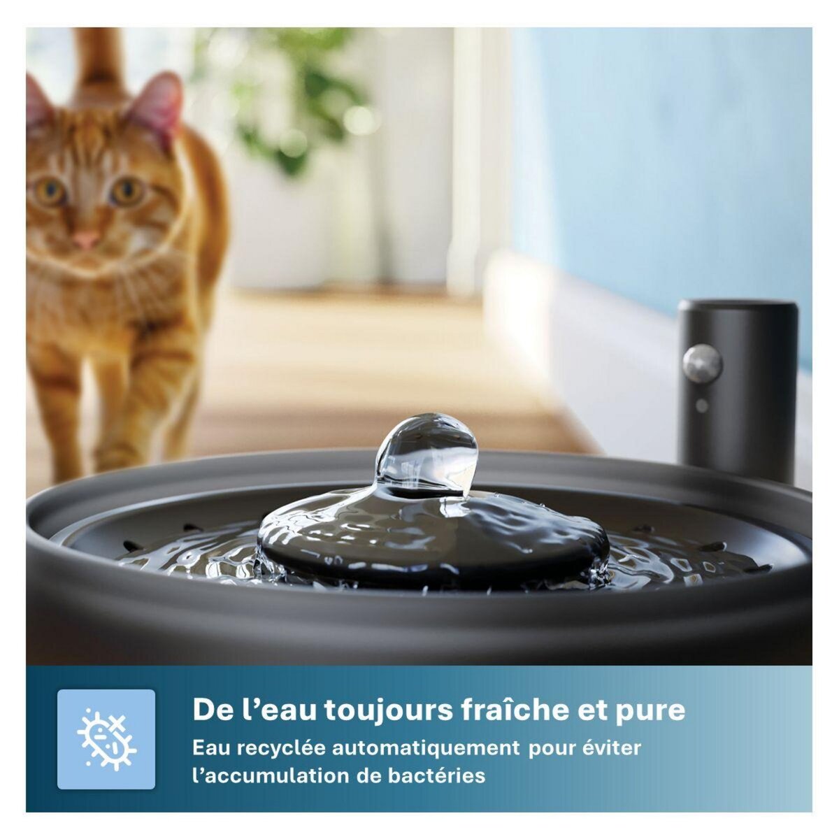 Philips Fontaine à eau pour chats Série Pet PAW3210/02 automatique noire 2.2L