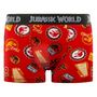 Voir la diapositive 3 : JURASSIC Lot de 4 boxers enfant Jurassic