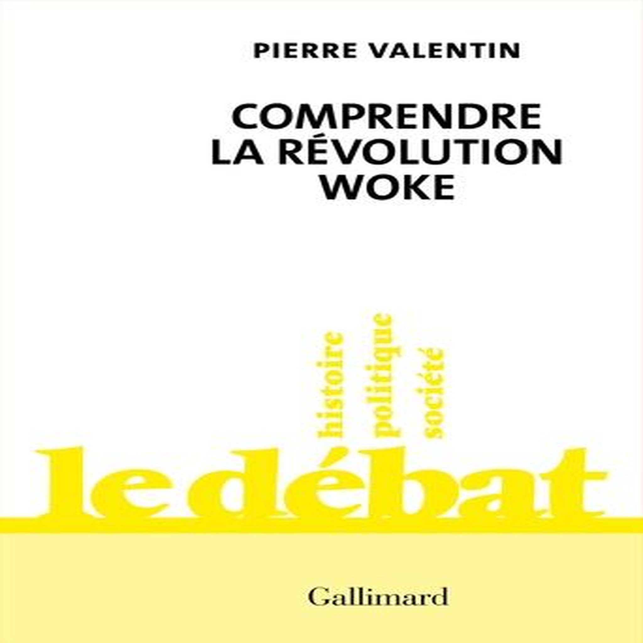 COMPRENDRE LA REVOLUTION WOKE, Valentin Pierre