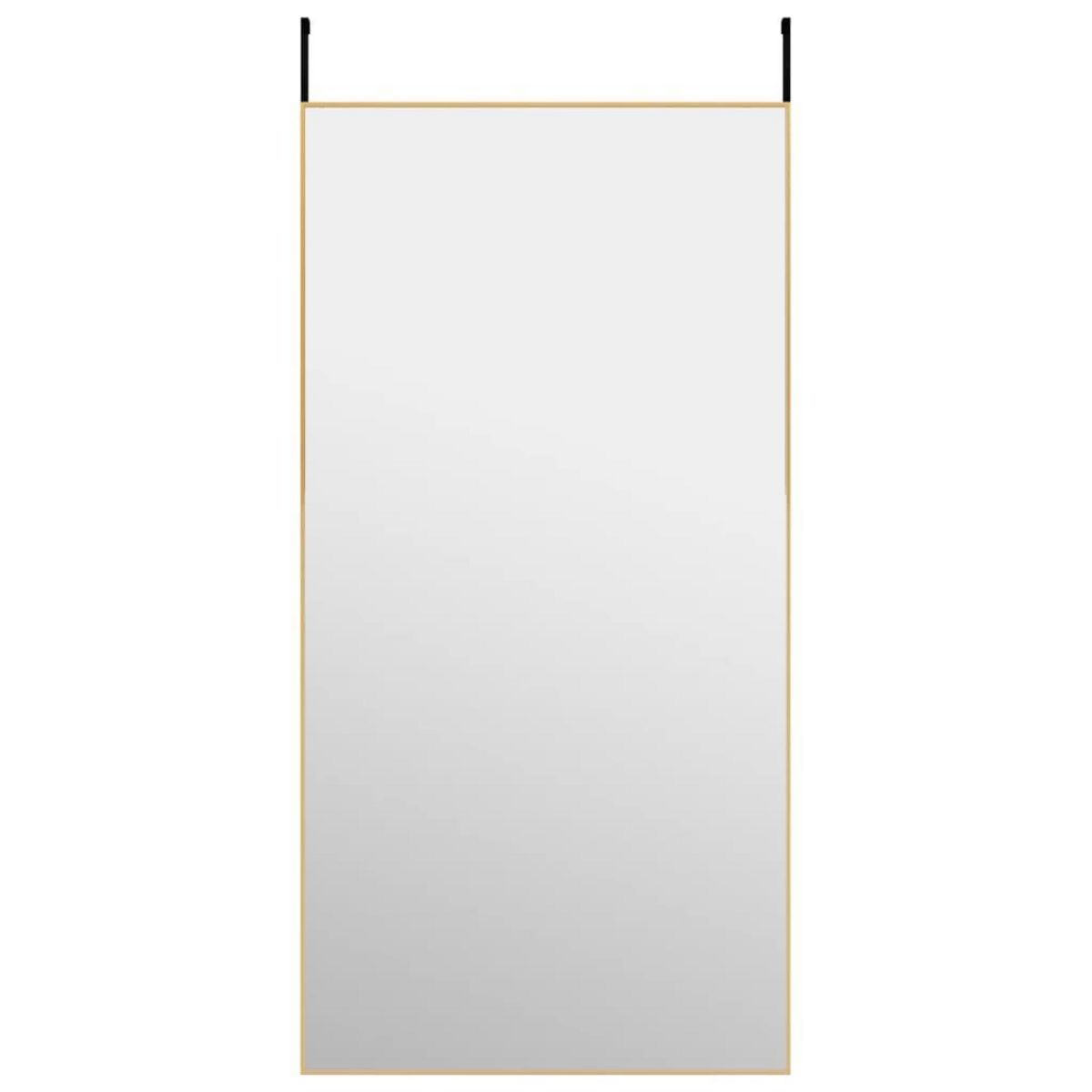 VIDAXL Miroir de porte Dore 50x100 cm Verre et aluminium