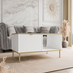 BEST MOBILIER Hope - table basse 100 cm - 1 tiroir et 1 niche. Coloris disponibles : Bicolore