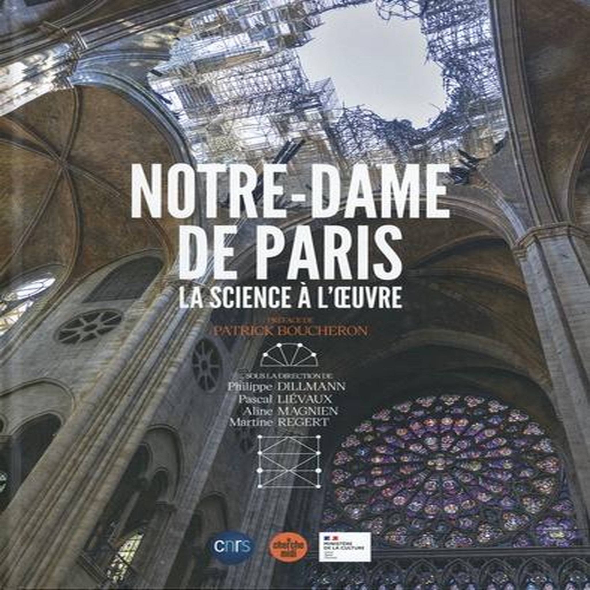 NOTRE-DAME DE PARIS. LA SCIENCE A L'OEUVRE, Dillmann Philippe