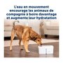 Voir la diapositive 2 : PETSAFE Fontaine a eau - PETSAFE - VIVA - 4,1 L - Blanc