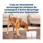 Voir la diapositive 2 : PETSAFE Fontaine a eau - PETSAFE - VIVA - 4,1 L - Blanc