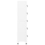 Voir la diapositive 4 : VIDAXL Armoire a casiers Blanc 38x40x180 cm Acier