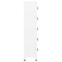 Voir la diapositive 4 : VIDAXL Armoire a casiers Blanc 38x40x180 cm Acier