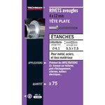 TECHMAN 75 rivets étanches alu/acier (tête plate) Ø 4 x 10 mm