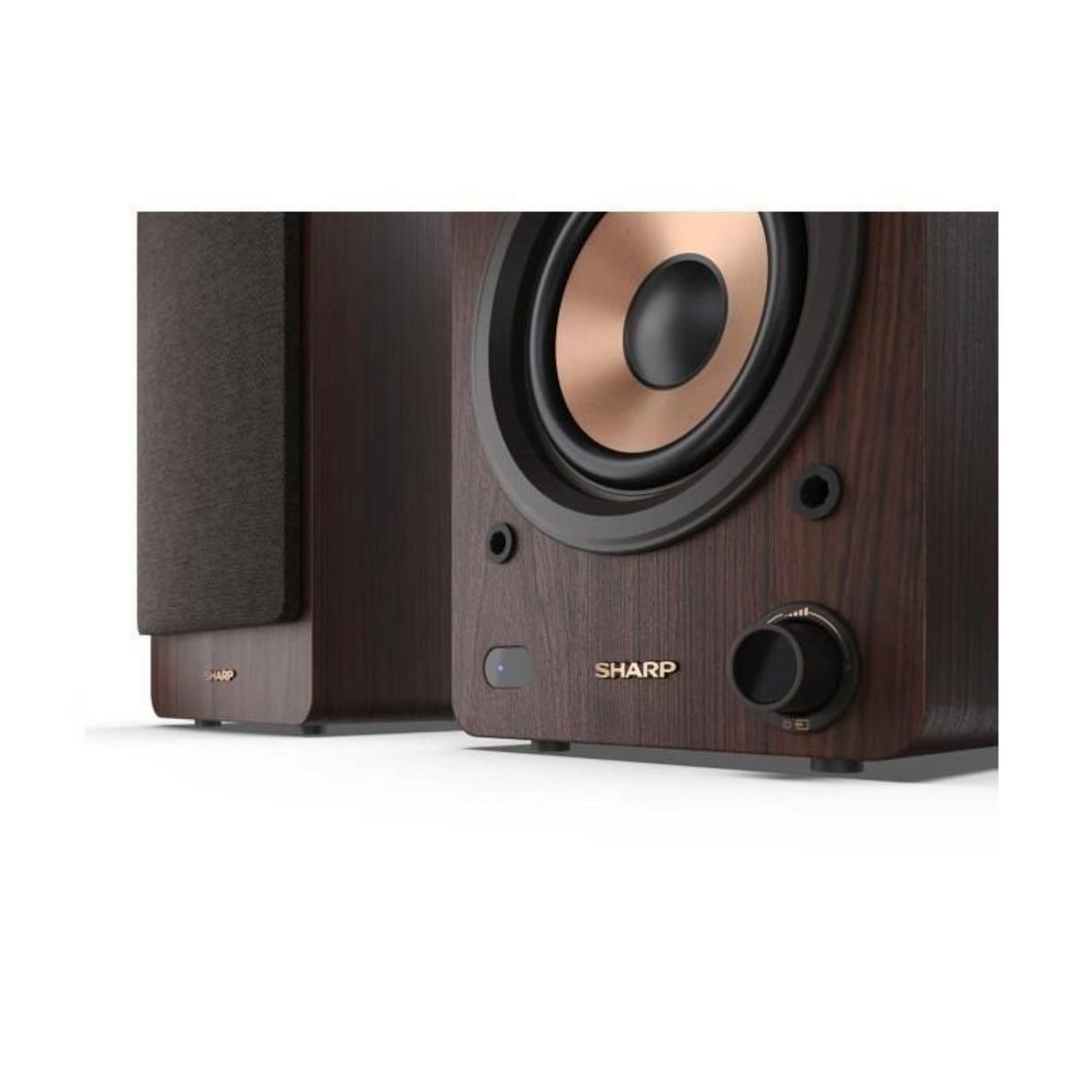 Sharp Haut-parleurs Bluetooth - SHARP - CP-SS30(BR) - Bibliotheque Marron - 2x 30W - 2 voies - Sans fil - 60W RMS