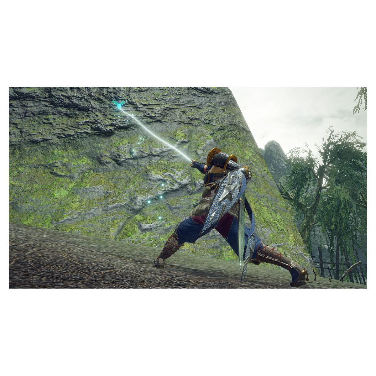 NINTENDO Monster Hunter Rise Edition Collector Nintendo Switch