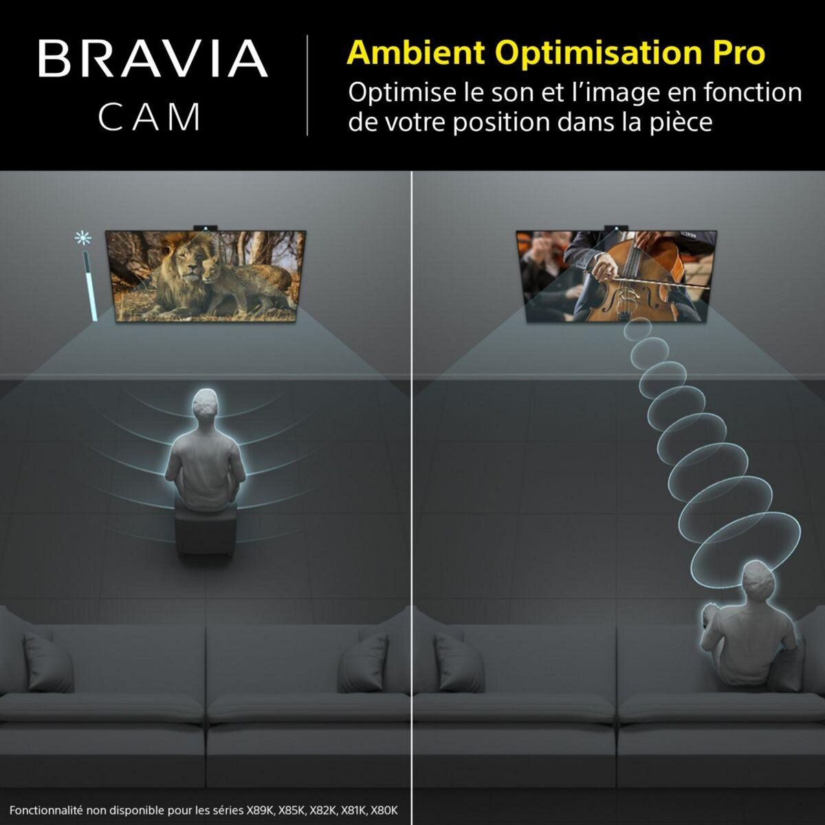 SONY Caméra Bravia Cam