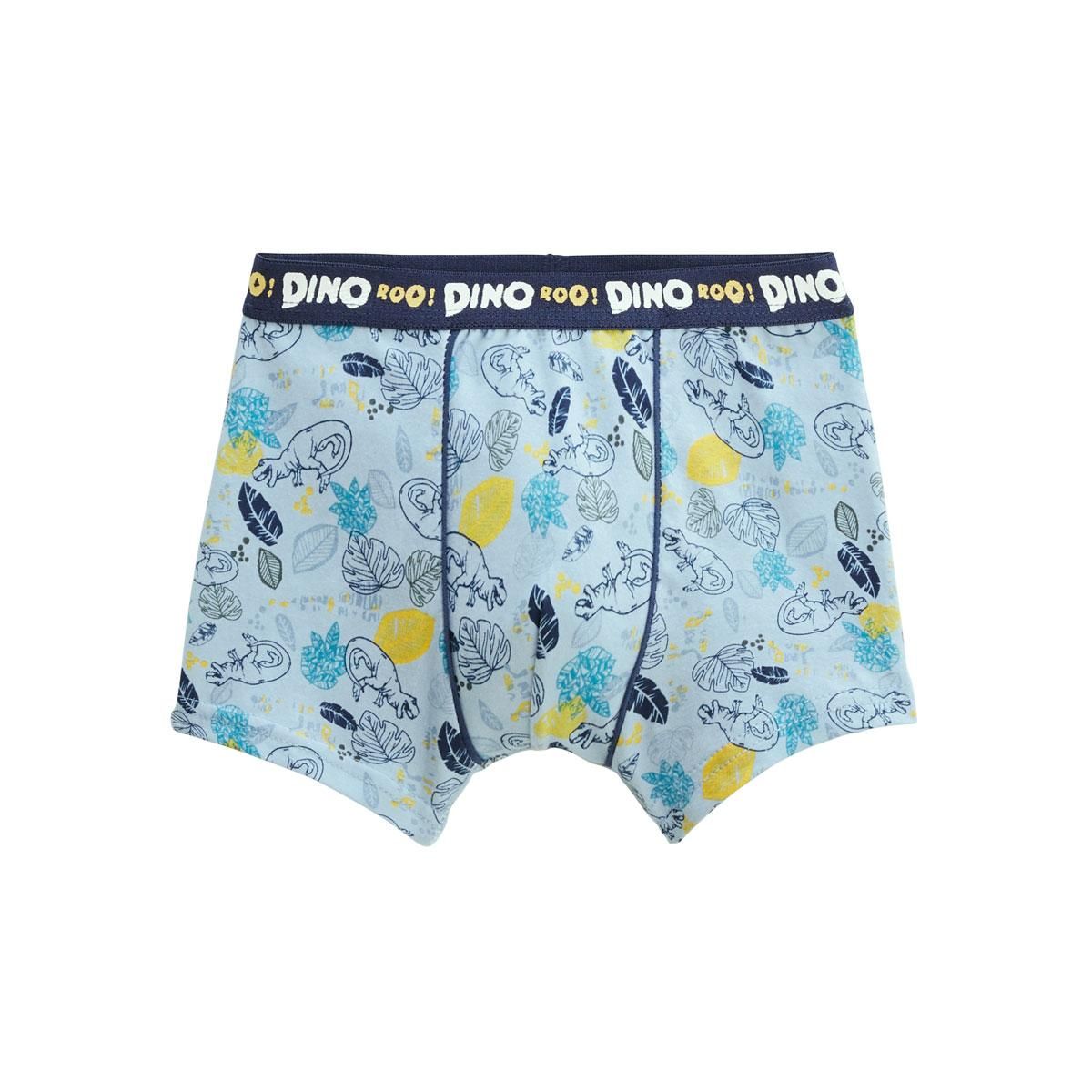 Petit Béguin Lot de 2 boxers garçon Dino
