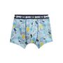 Voir la diapositive 4 : Petit Béguin Lot de 2 boxers garçon Dino