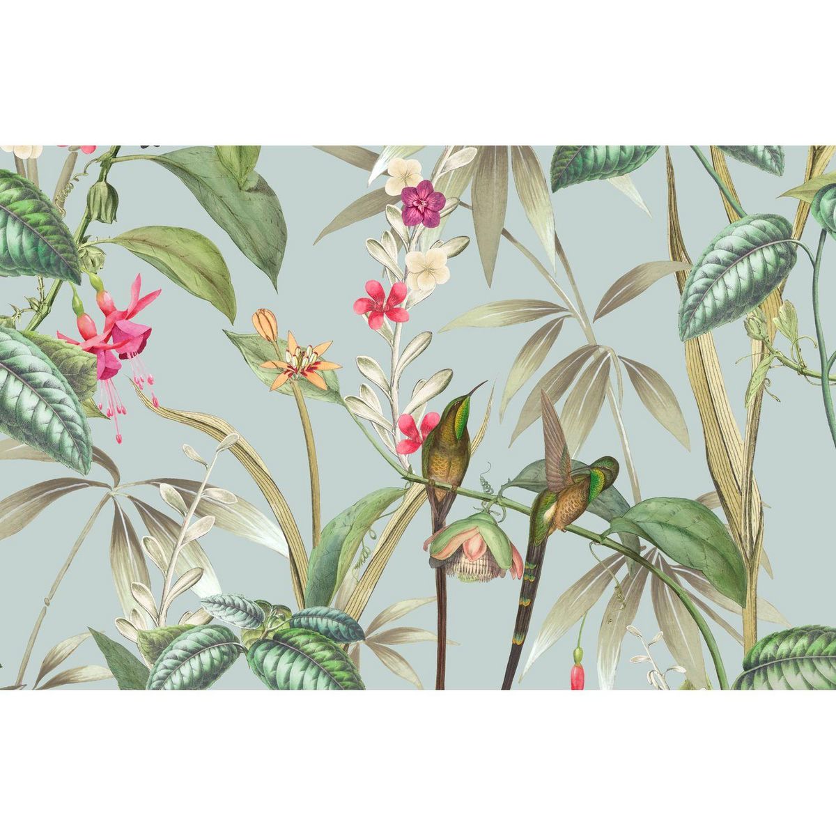 HABITABLE Lot de 6 sets de table motifs tropical BARBARA - 28 x 43 cm - Multicolore