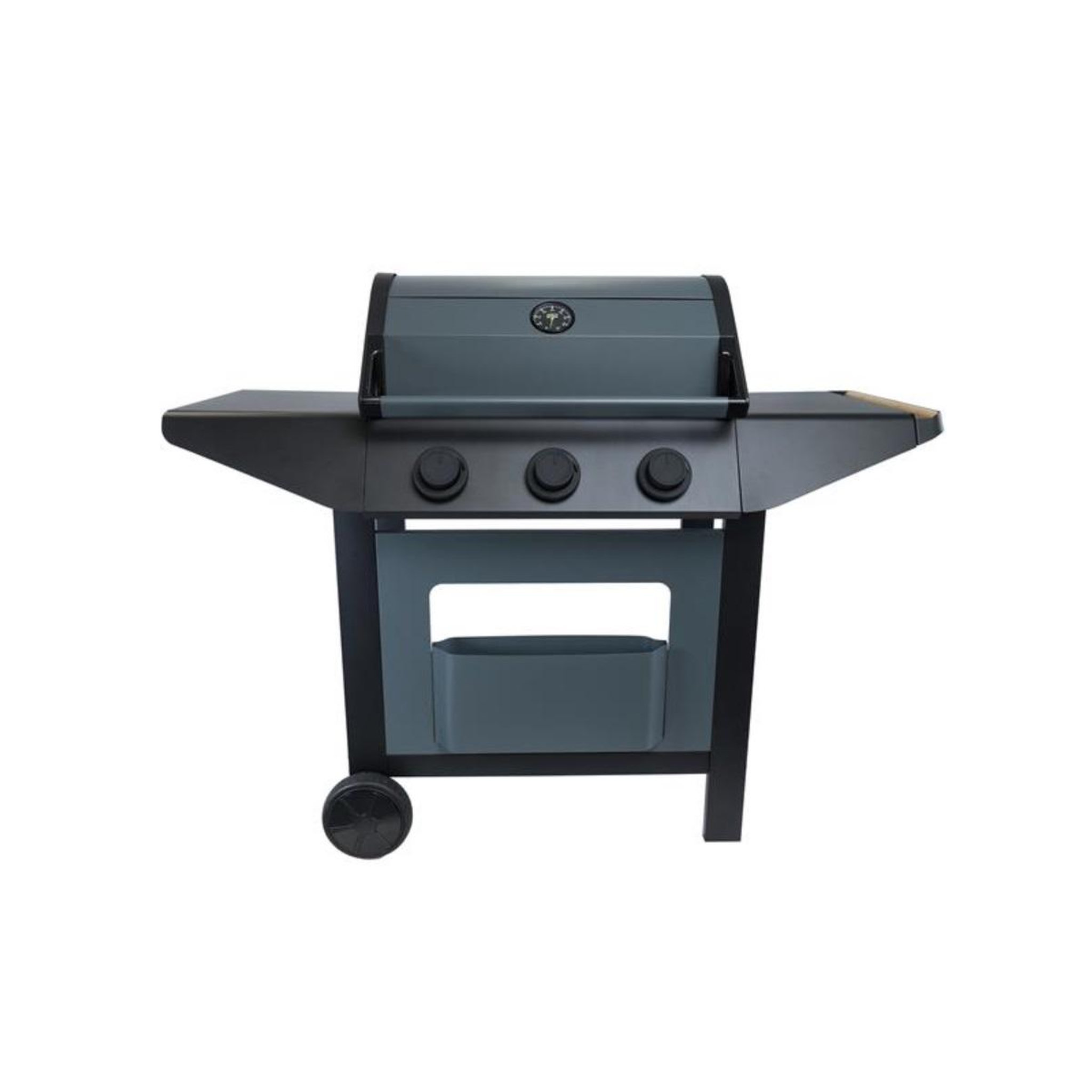 COOK IN GARDEN Barbecue gaz 3 feux 10.5kw - am253t