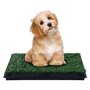 PAWHUT Litière gazon synthétique chiens toilettes portables à pelouse tiroir à déjection 63L x 51l x 6H cm noir vert