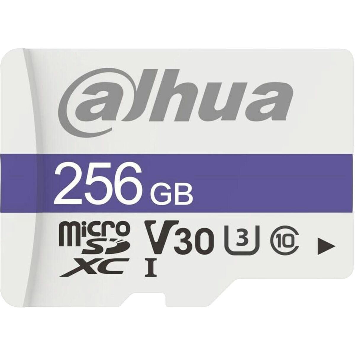 Dahua Carte mémoire MicroSDXC Dahua Technology C100 256 Go