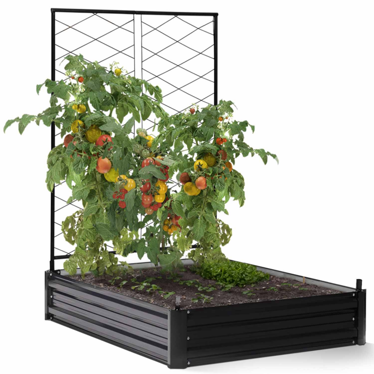 ID MARKET Kit complet 3 bacs métal modulables carrés potager et serre à tomates + treillis + housse