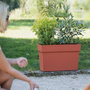 Voir la diapositive 2 : Eda Jardinière Muret Toscane 79 x 36 x 39 cm - Orange terre battue - Eda