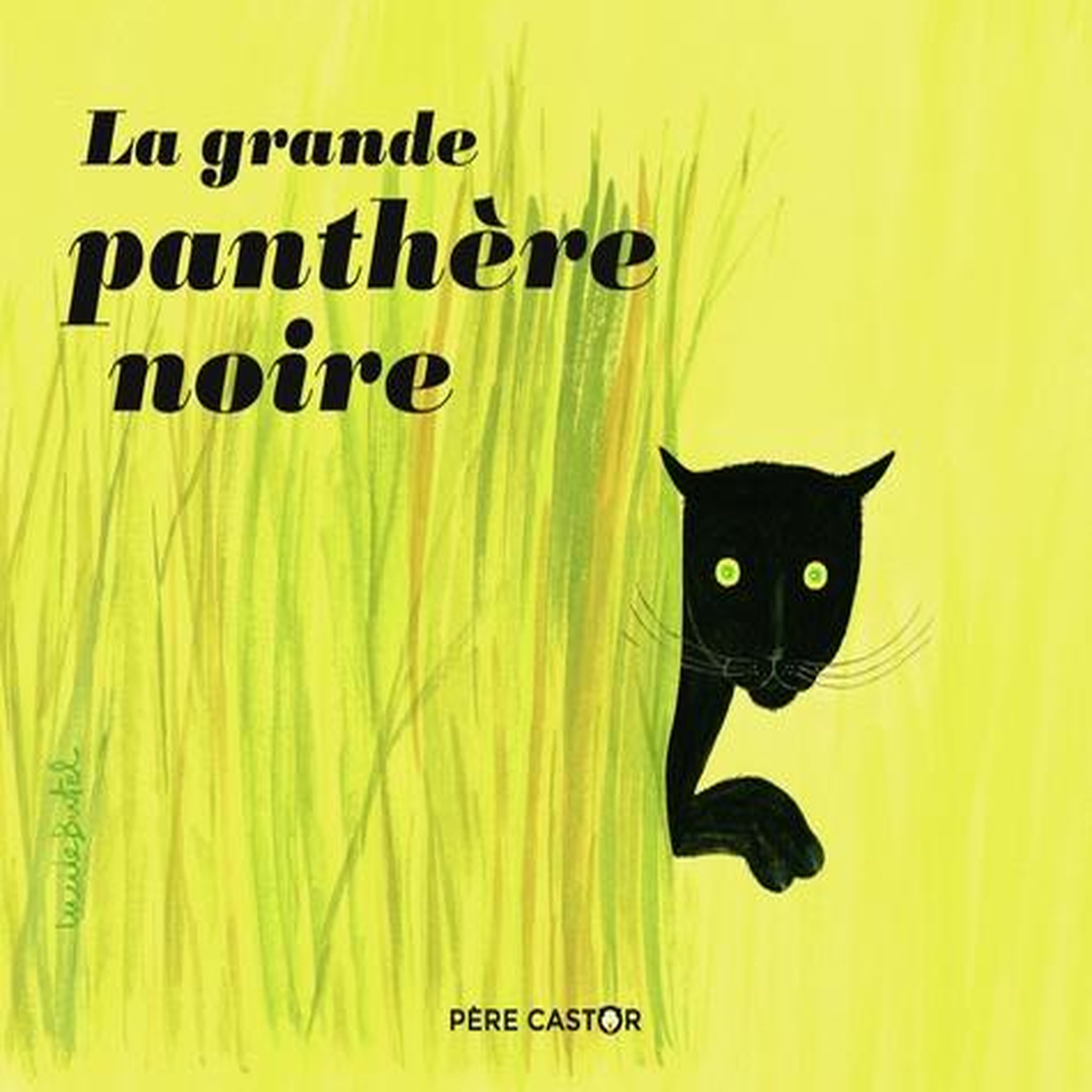 LA GRANDE PANTHERE NOIRE, François Paul