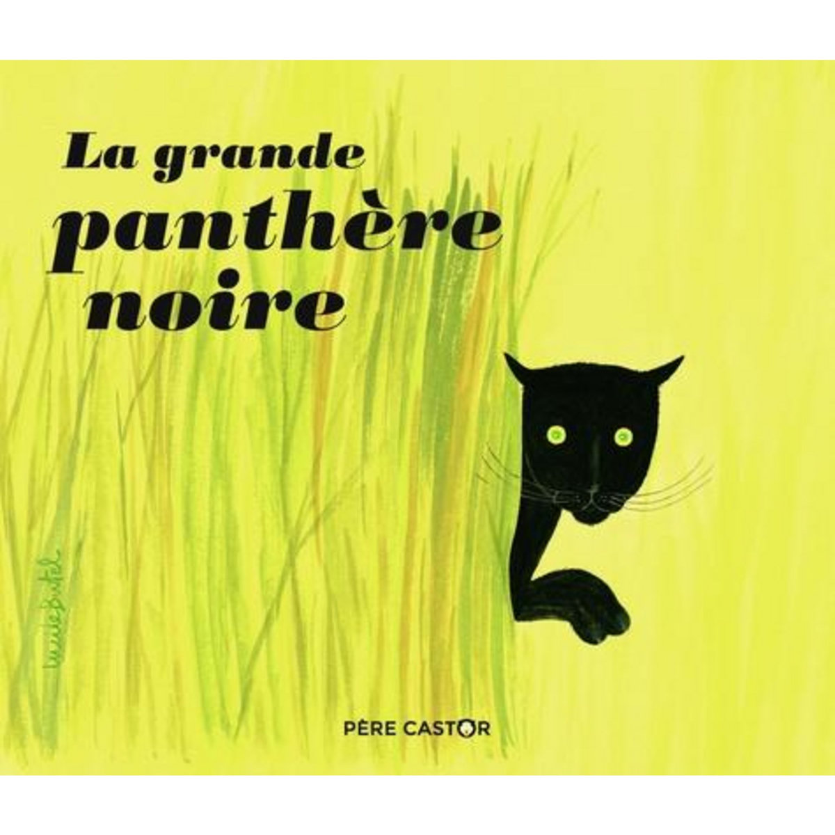 LA GRANDE PANTHERE NOIRE, François Paul