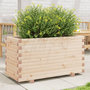 Voir la diapositive 1 : VIDAXL Jardiniere 90x40x49,5 cm bois de pin massif