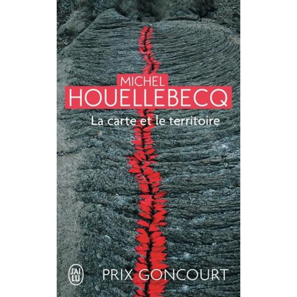 LA CARTE ET LE TERRITOIRE, Houellebecq Michel