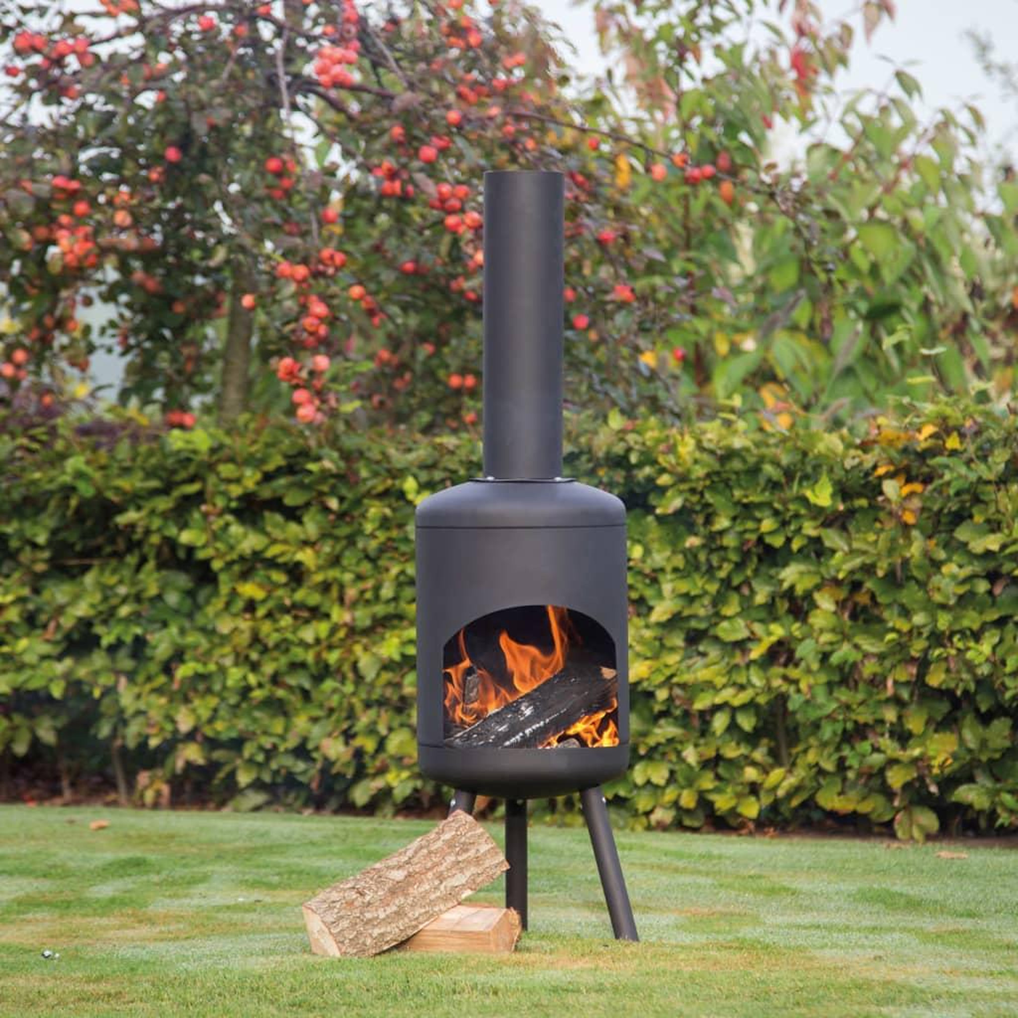 Voir la diapositive 2 : REDFIRE RedFire Cheminee Fuego Petite 81070