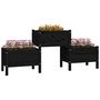 Voir la diapositive 3 : VIDAXL Jardiniere Noir 178,5x44x75 cm Bois massif de pin