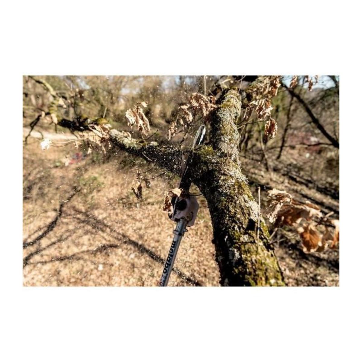 METABO SAS Accessoires élagueuse sur perche 18 V MA-MS 25