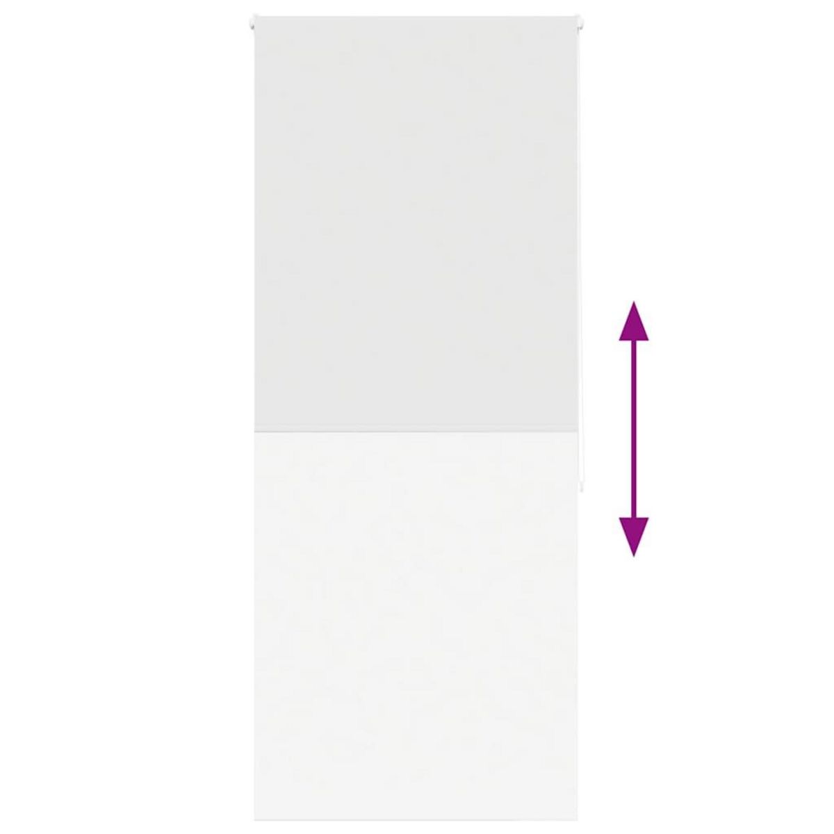 VIDAXL Store enrouleur de douche 110x240 cm largeur du tissu 106 cm