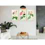Voir la diapositive 2 : Paris Prix Tableau Imprimé  Floral Trio Collection