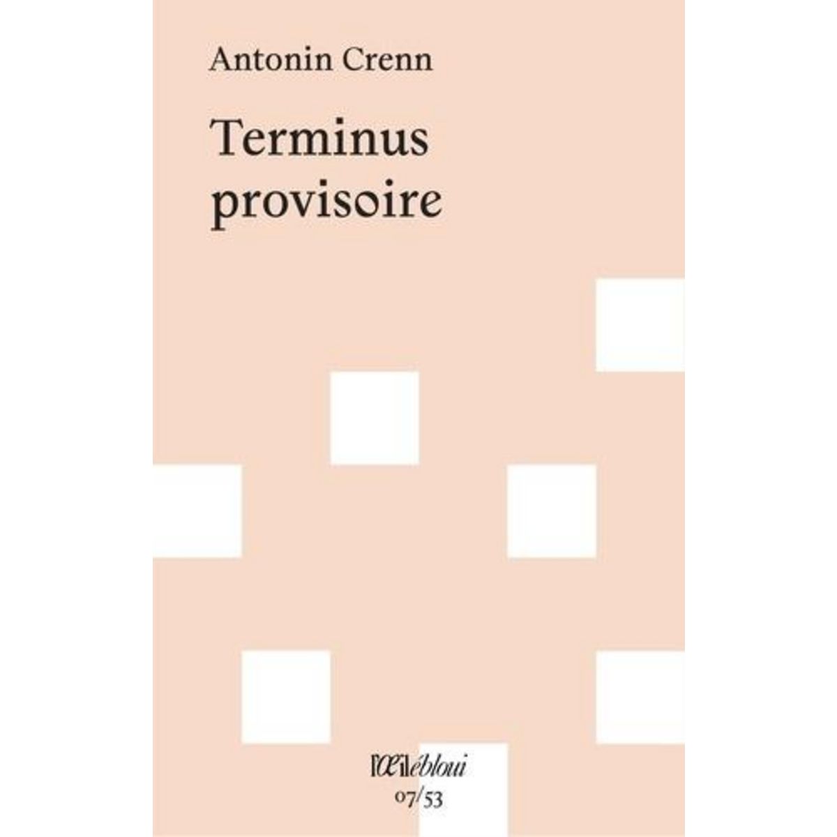 TERMINUS PROVISOIRE, Crenn Antonin
