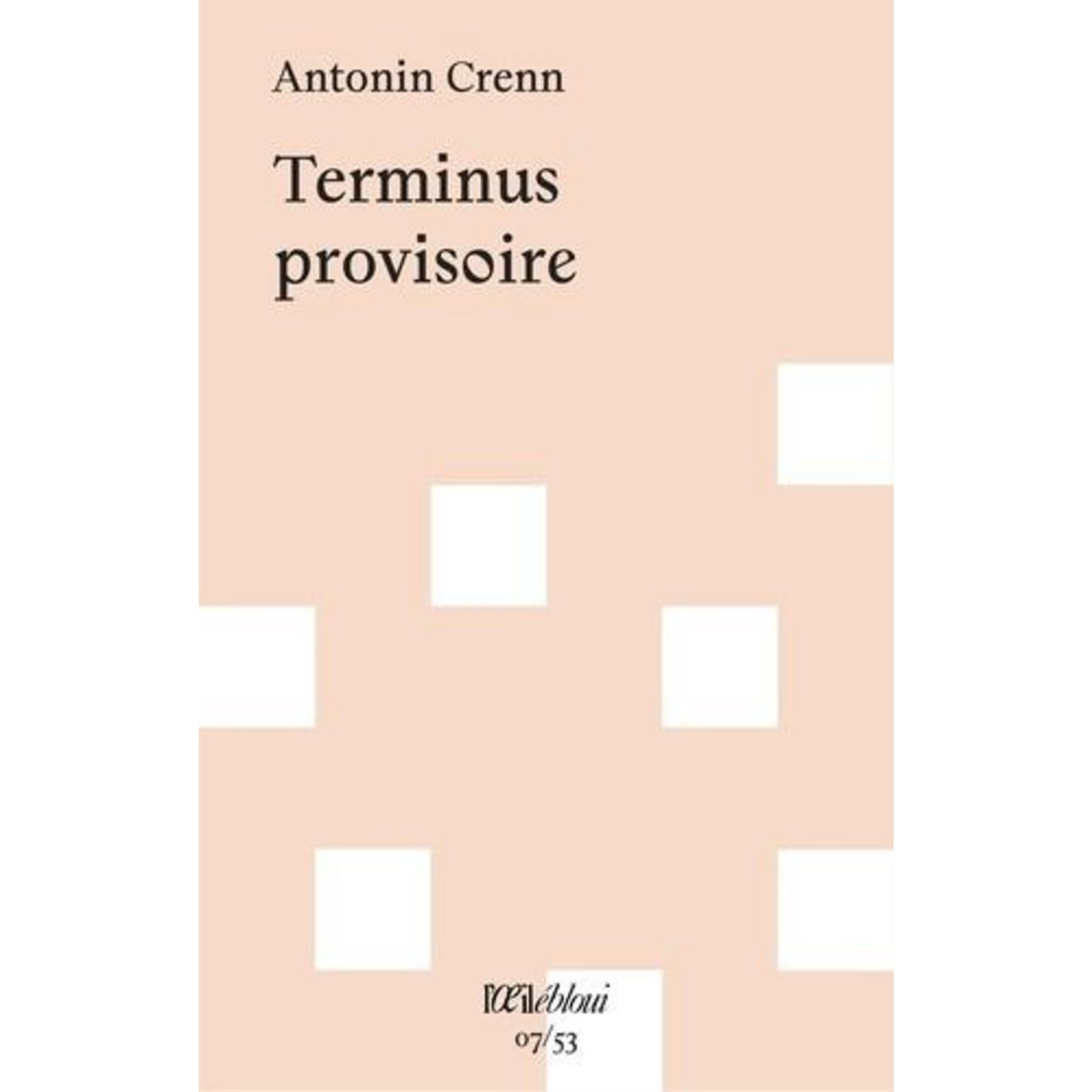 TERMINUS PROVISOIRE, Crenn Antonin